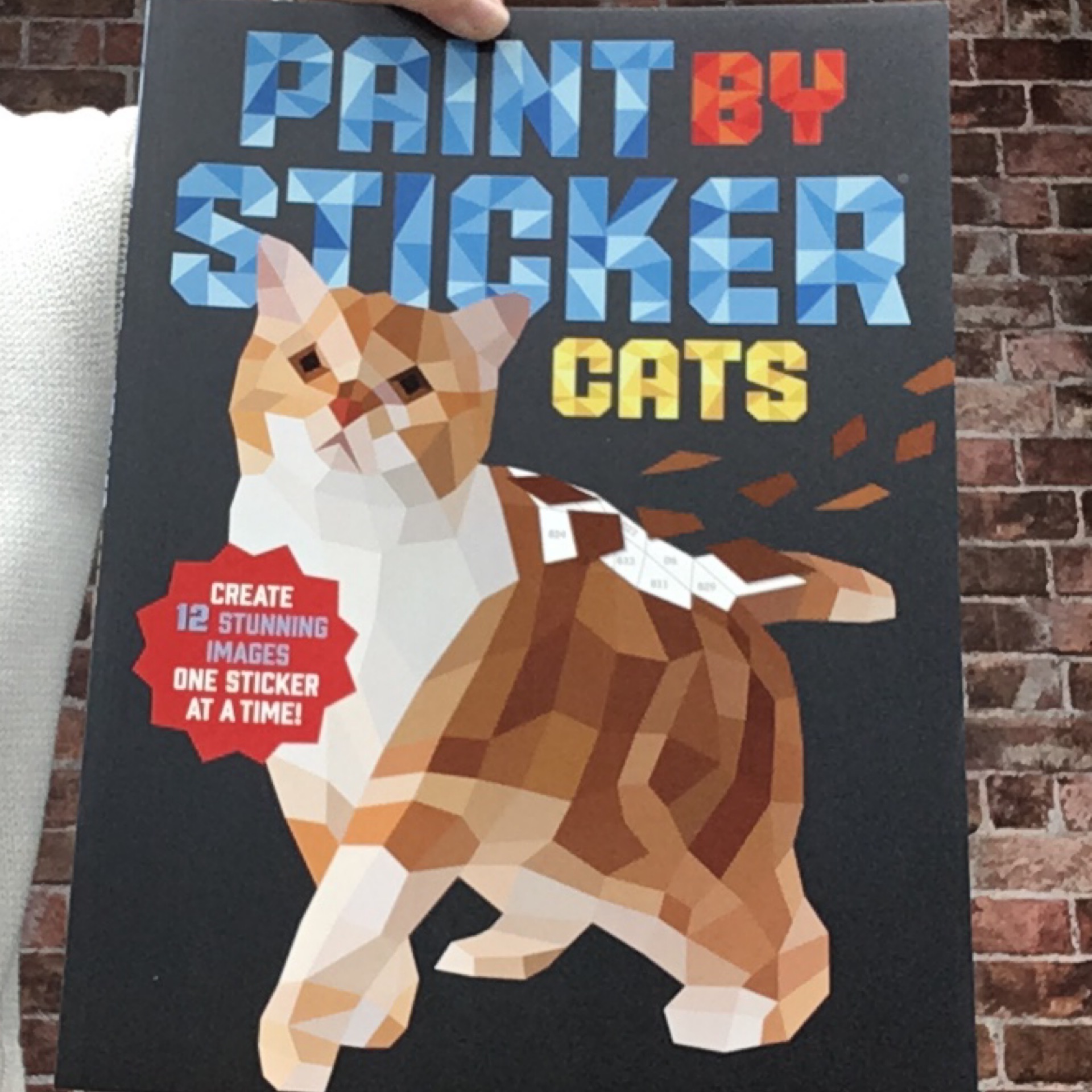 Paint by Sticker Cats Act Your Age (or don't)