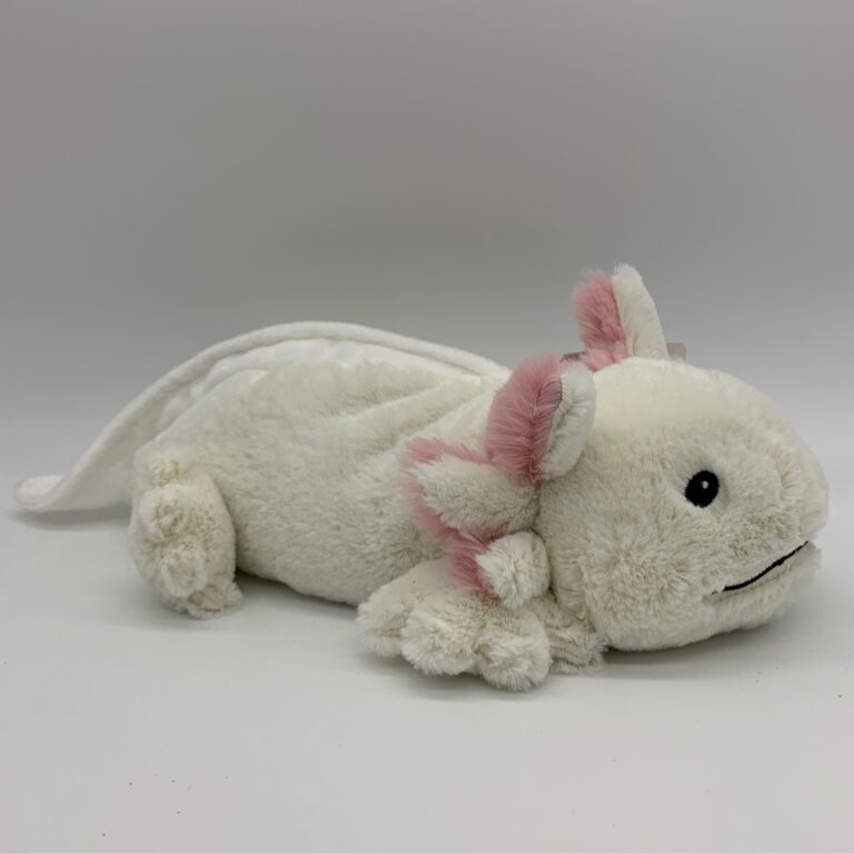 Axolotl Act Your Age or Don t axolotl-act-your-age-or-don-t