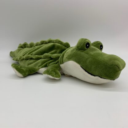 Alligator